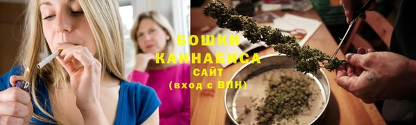 стаф Вязники