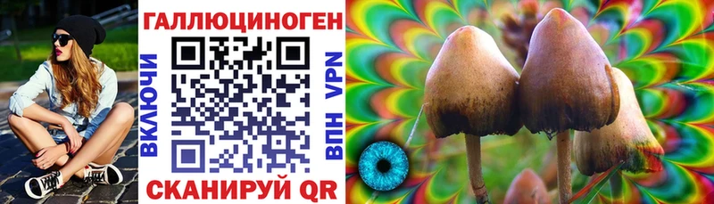 Галлюциногенные грибы GOLDEN TEACHER  Новошахтинск 